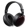 FiiO FT13