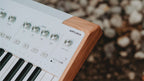 Arturia AstroLab 61 performance keyboard with black and white keys, compact design, and control knobs for music production.