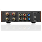 FiiO Level 1 rear panel inputs and outputs, walnut
