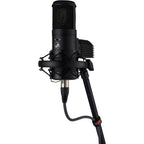 Warm Audio WA-8000 condenser microphone shown with its sleek design and professional build quality for studio recording.