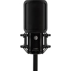 Shure KSM44MP condenser microphone with dual pattern capsules, black finish, and professional audio recording setup.