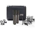 Pair of Warm Audio WA-87 R2 TS stereo condenser microphones with gold capsules and shock mounts, used for studio recording.