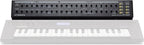 Dtronics DT-RDX-V2 synthesizer with keyboard, control knobs, and display screen, showcasing its electronic interface and layout.