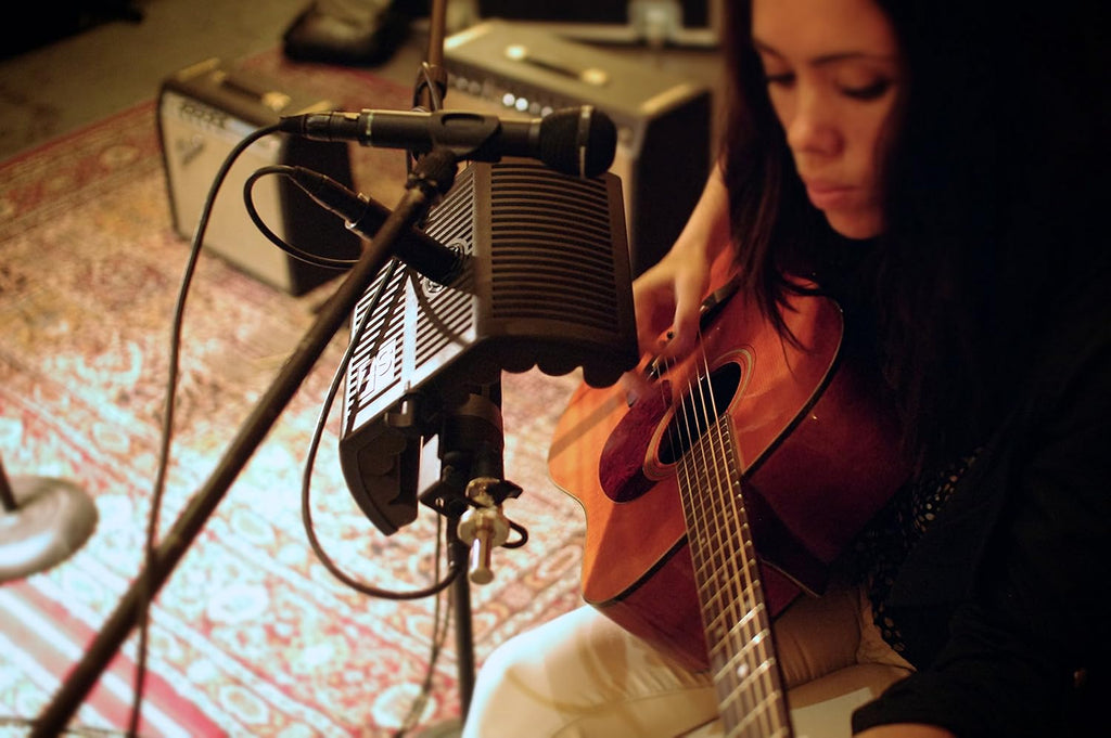 SE Electronics guitaRF reflection filter for guitar recording, shown with adjustable mounting and acoustic foam panels.