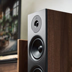 Argon Audio Forus 55 passive floorstanding speakers with sleek black finish and multiple speaker drivers for high-quality sound.