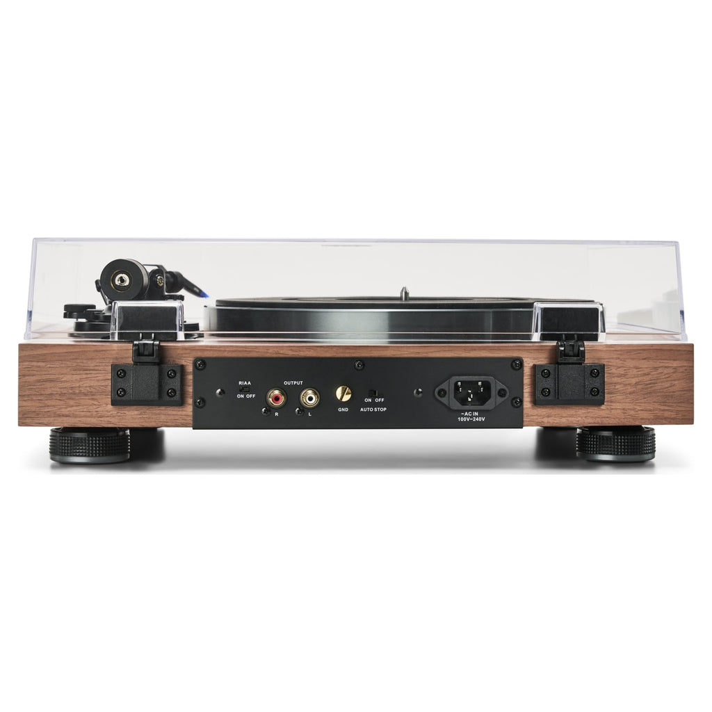 Argon Audio AURORA walnut, rear connections and phono output
