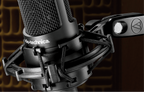Audio-Technica AT2035 large-diaphragm condenser microphone (view 4)