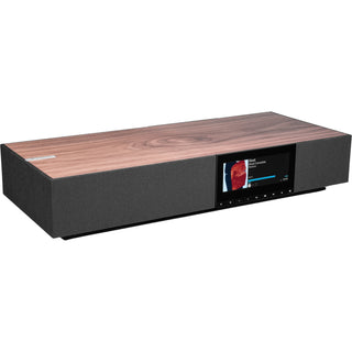 All-in-One Speakers
