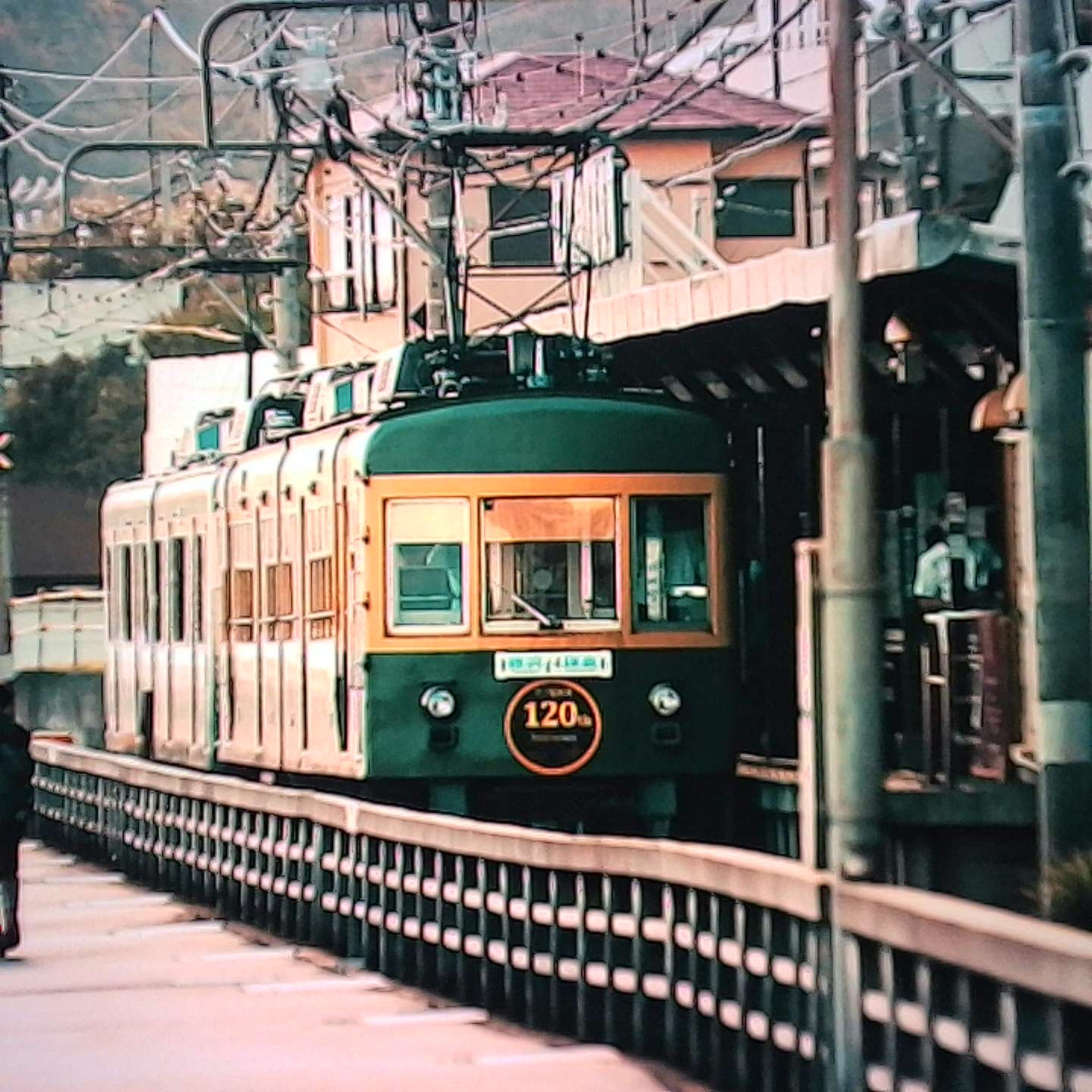 Film-look sample photo taken with the Escura SnapRoll