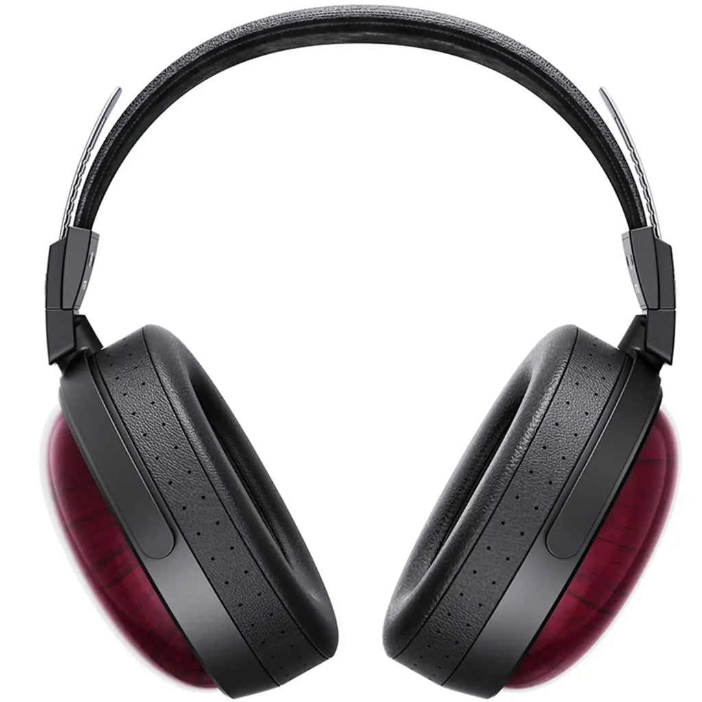 FiiO FT13 wired headphones with black and silver design, featuring in-ear earbuds and inline remote for mobile listening.