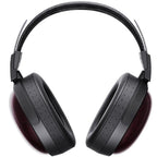 FiiO FT13 wired headphones with in-ear design and black ear tips, featuring ergonomic ear hooks for a secure fit.