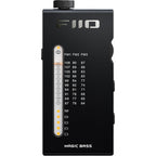 FiiO RR11 radio