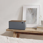 Klipsch The Three Plus wireless speaker, controls detail, black