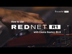 Focusrite RedNet R1