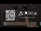 Moog Muse
