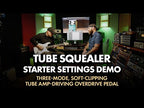 Warm Audio Tube Squealer (WA-TS)