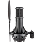 sE Electronics sE2200 condenser microphone, alternate view 5