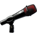 sE Electronics V2 (with Switch) dynamic microphone