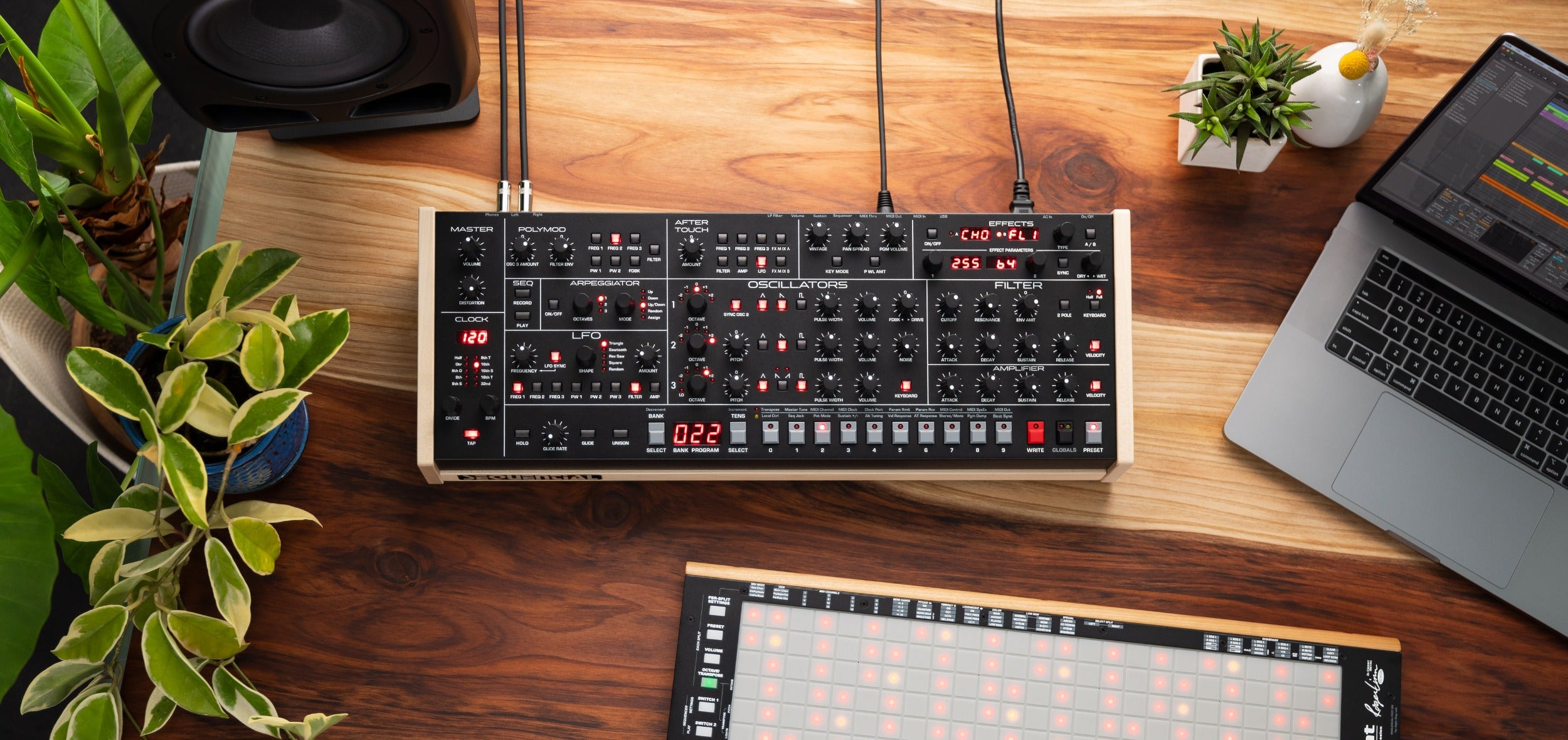 Sequential Trigon-6 Desktop synthesizer with sleek black control panel and various knobs and inputs, designed for music production.