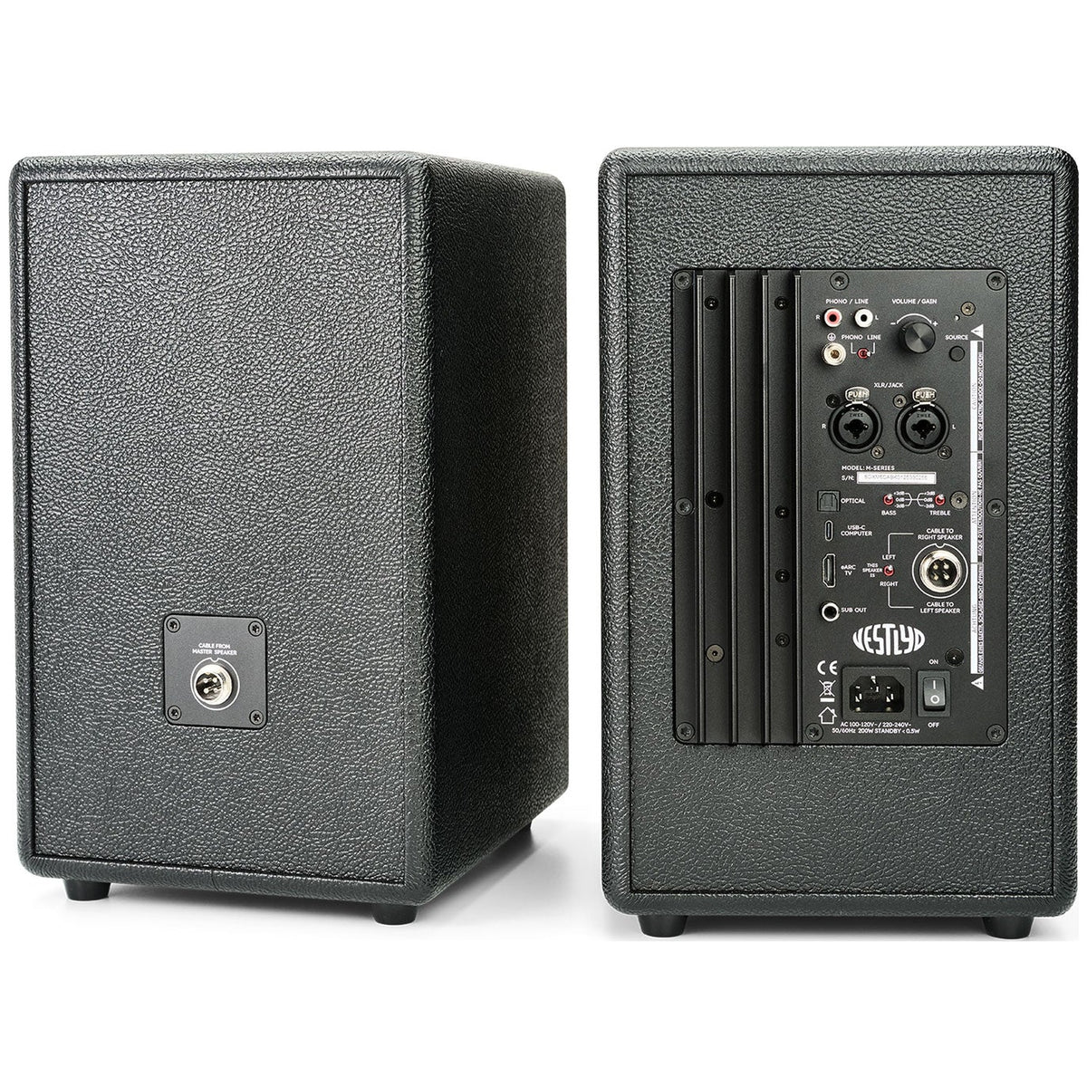 Vestlyd M6C Active in Black — rear view showing the built-in Class D amplifier panel